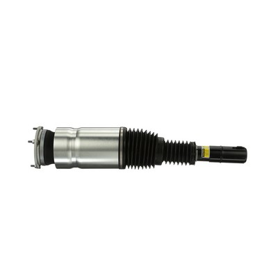 Acquista online Arnott Ammortizzatore pneumatico Art.: AS-3069