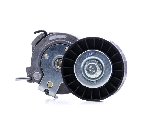Achetez des Galet tendeur de courroie d'accessoire DAYCO APV1002 à prix pour 46,26 €