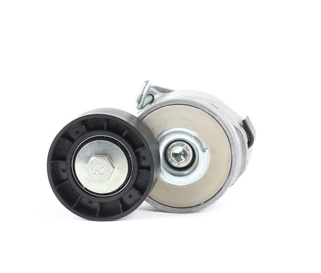 Acquista Tenditore cinghia servizi da DAYCO APV1088 a buon mercato per soli 31,24 €