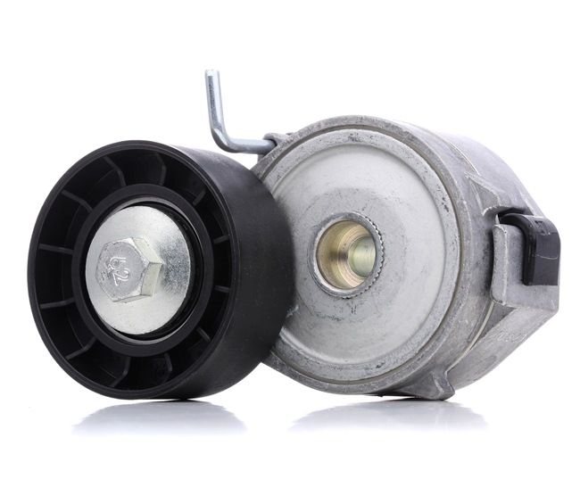Achetez des Galet tendeur de courroie d'accessoire DAYCO APV2424 à prix pour 37,89 €