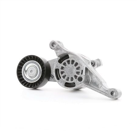 Acquista Tenditore cinghia servizi da DAYCO APV2501 a buon mercato per soli 37,55 €