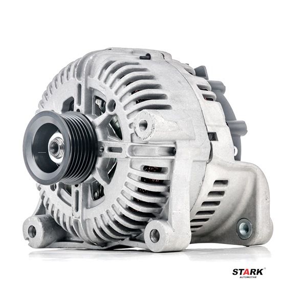 Lichtmaschine SKGN-0320251