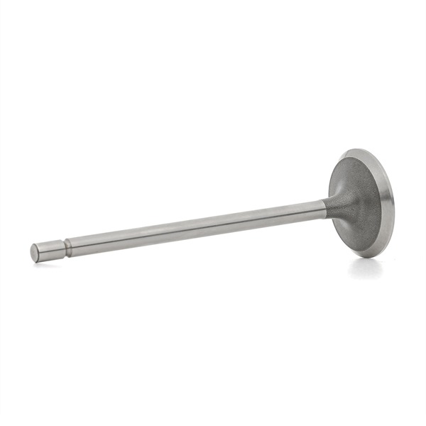Osta Imuventtiili RIDEX:llä 1269I0005 edullisesti hintaan 7,53 €