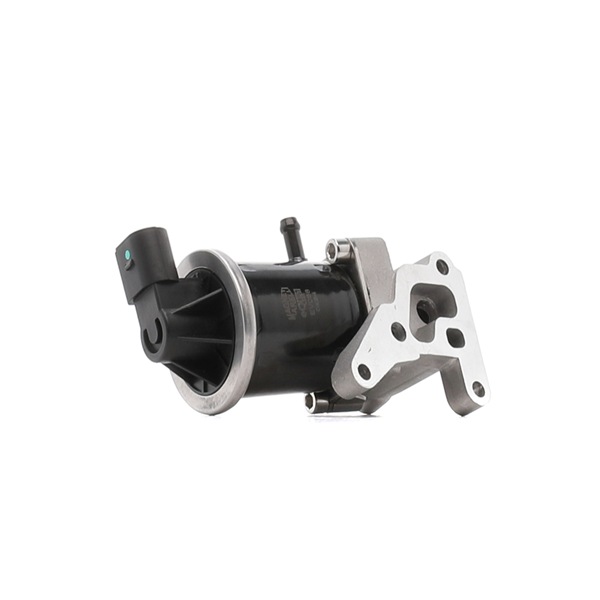 Original MAGNETI MARELLI AGR-Ventil online kaufen