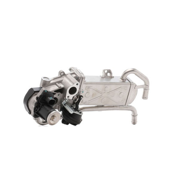 Original MAGNETI MARELLI AGR-Ventil online kaufen