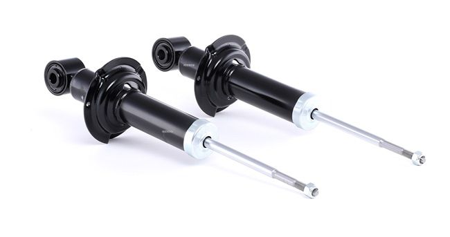 Stoßdämpfer von RIDEX
