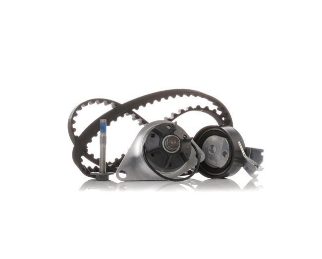 Achetez des Kit de distribution + pompe à eau RIDEX 3096W0049 à prix pour 47,24 €