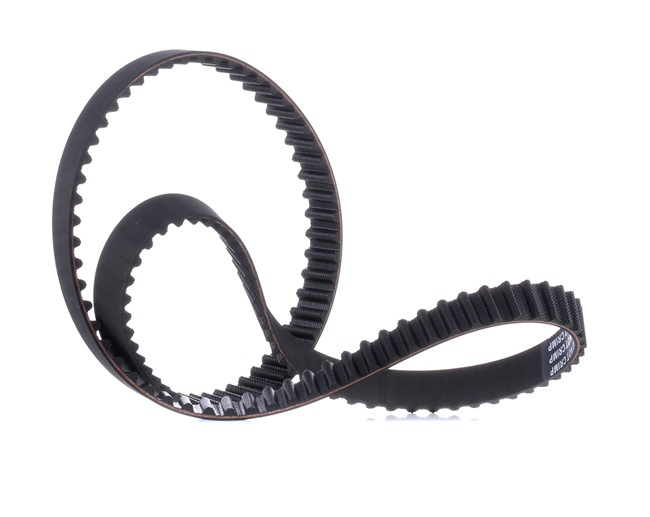 Achetez des Courroie de distribution RIDEX 306T0166 à prix pour 17,69 €