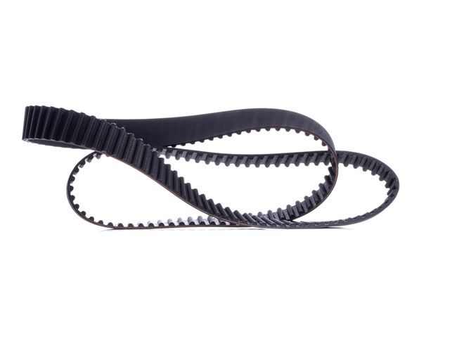 Compre Correia de distribuição de RIDEX online para Patrol GR V SUV (Y61) a preços moderados