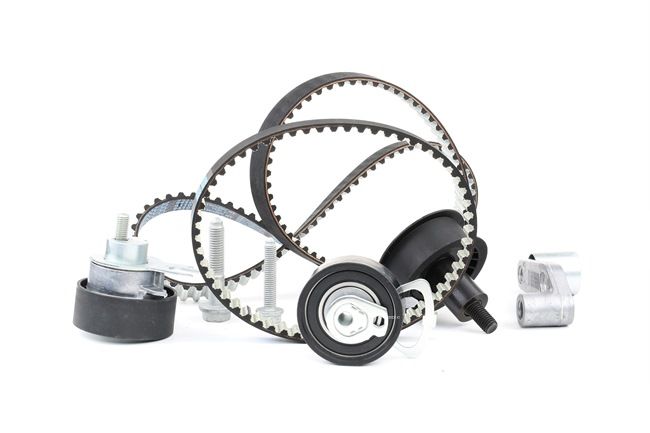 Achetez des Kit de distribution RIDEX 307T0021 à prix pour 115,93 €