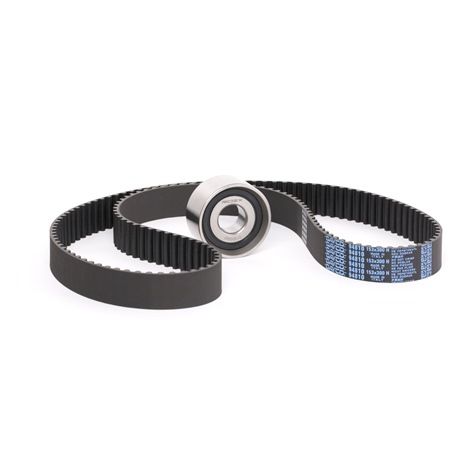 Achetez des Kit de distribution RIDEX 307T0042 à prix pour 60,84 €