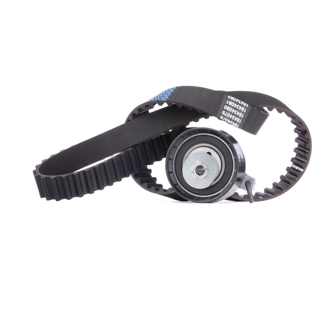 Zahnriemensatz 307T0059 FORD C-MAX von RIDEX