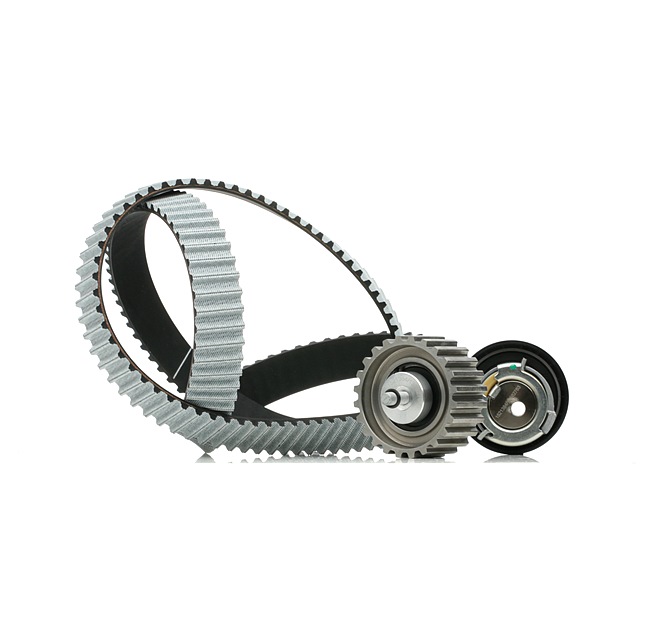 Achetez des Kit de distribution RIDEX 307T0066 à prix pour 100,67 €
