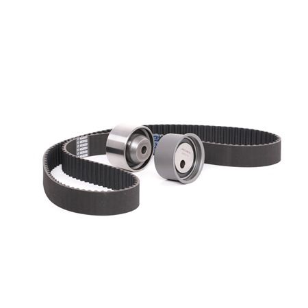 Achetez des Kit de distribution RIDEX 307T0132 à prix pour 67,24 €