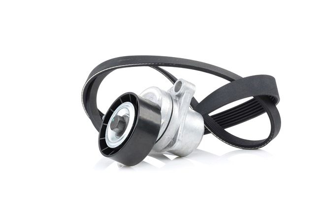 Achetez des Jeu de courroies trapézoïdales à nervures RIDEX 542R0006 à prix pour 55,28 €