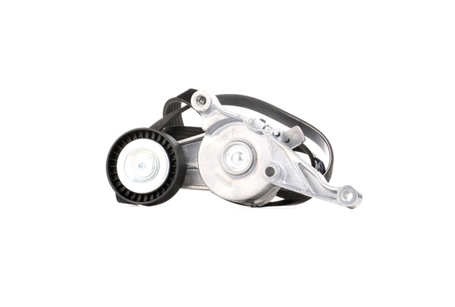 Compre Kit de correa de alternador de RIDEX online para SUPERB Ranchera familiar (3T5) a precios moderados