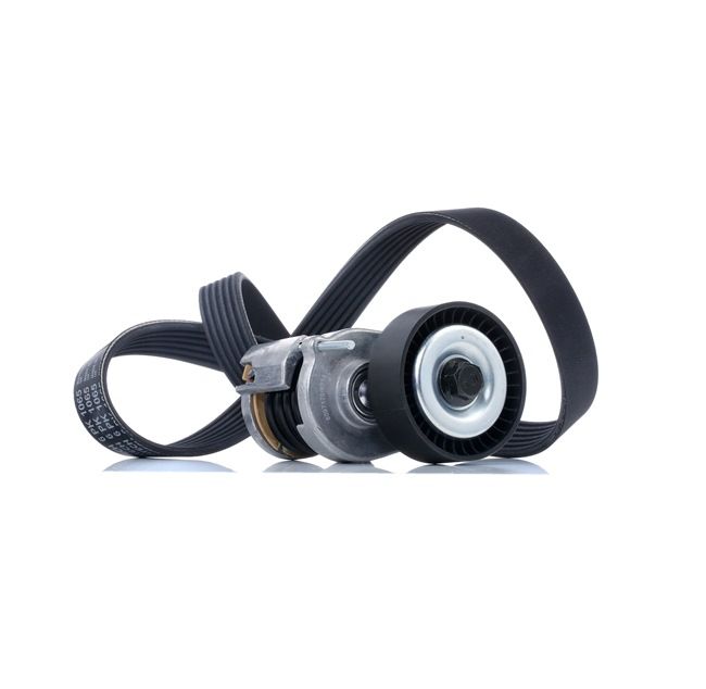 Achetez des Jeu de courroies trapézoïdales à nervures RIDEX 542R0008 à prix pour 44,87 €
