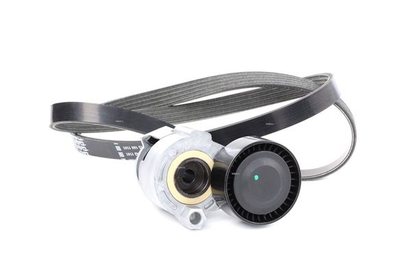 Keilrippenriemensatz von RIDEX für MEGANE II (BM0/1_, CM0/1_) günstig online kaufen