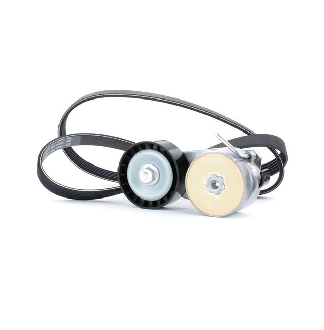 Achetez des Jeu de courroies trapézoïdales à nervures RIDEX 542R0016 à prix pour 45,00 €
