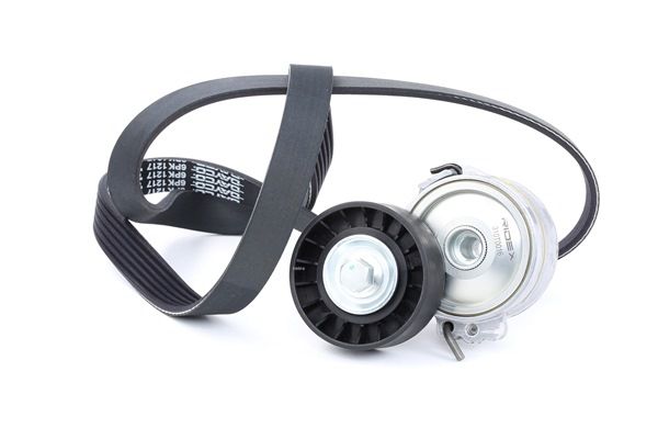 Achetez des Jeu de courroies trapézoïdales à nervures RIDEX 542R0025 à prix pour 42,45 €