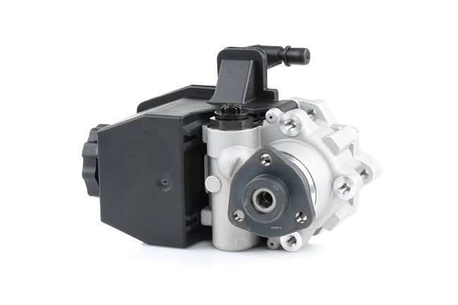 Compre Bomba de direção da RIDEX 12H0070 a um preço baixo por 128,02 €
