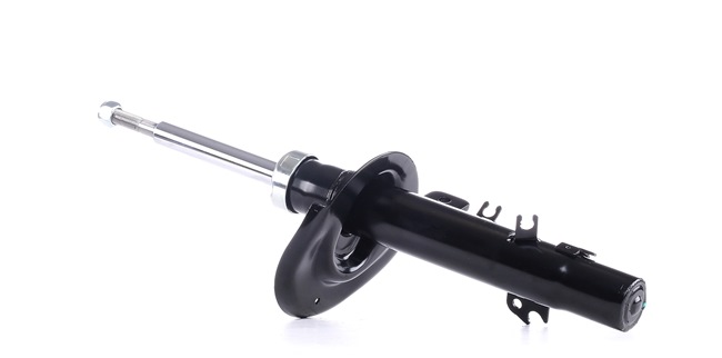 Compre Amortecedor da RIDEX 854S1768 a um preço baixo por 44,60 €