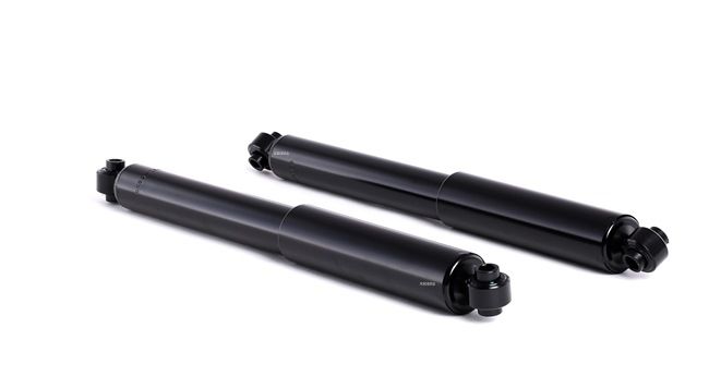 Stoßdämpfer 854S0055
