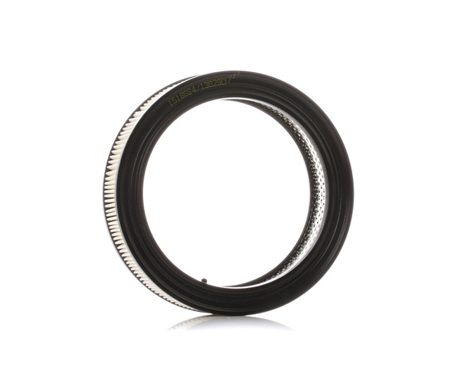 Luftfilter 8A0545 von RIDEX günstig für 6,05 € online kaufen