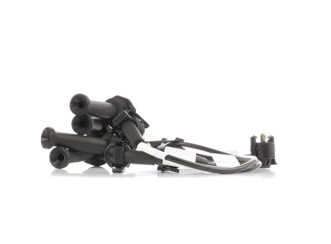 Compre Jogo de cabos de ignição da RIDEX 685I0065 a um preço baixo por 27,70 €