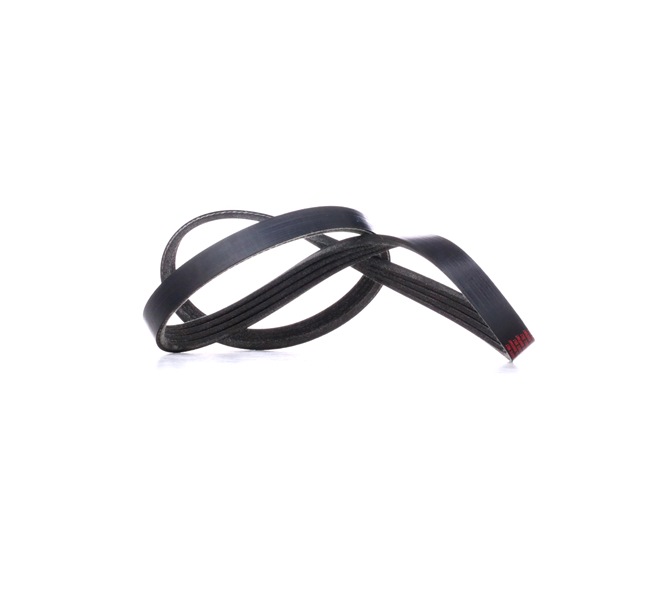 Achetez des Courroie Poly-V RIDEX 305P0226 à prix pour 6,92 €