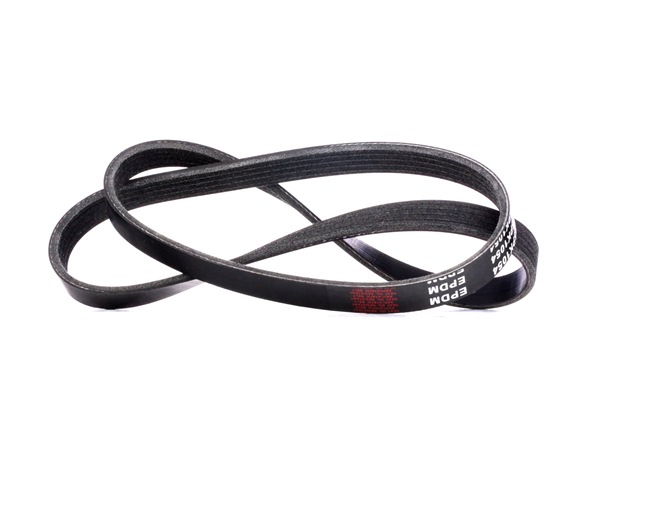 Achetez des Courroie Poly-V RIDEX 305P0314 à prix pour 7,99 €