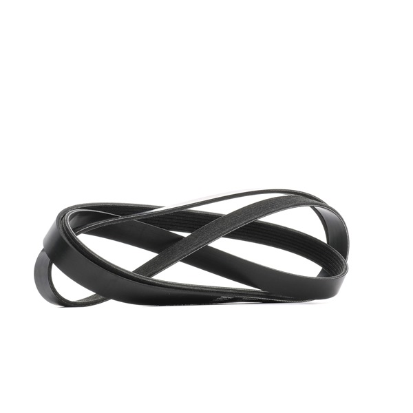 Acquista Cinghia servizi da RIDEX 305P0349 a buon mercato per soli 25,88 €