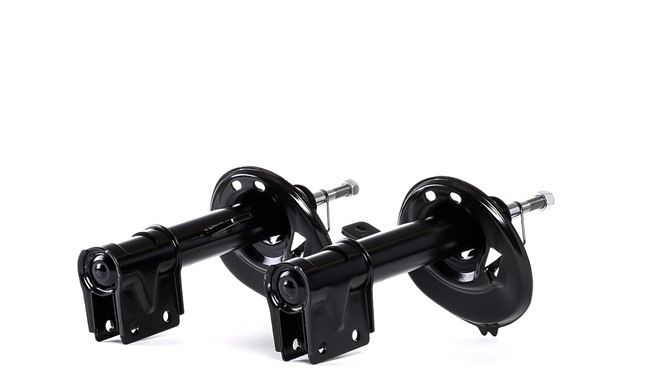 Compre Amortecedor da RIDEX 854S1360 a um preço baixo por 46,77 €