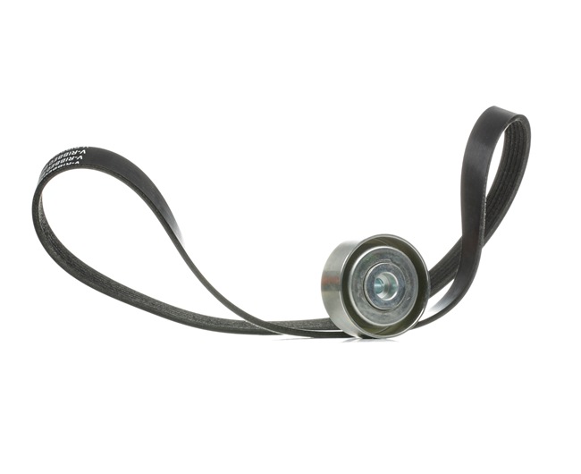 Achetez des Jeu de courroies trapézoïdales à nervures RIDEX 542R0003 à prix pour 43,30 €