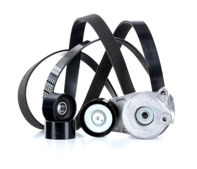 Achetez des Jeu de courroies trapézoïdales à nervures RIDEX 542R0010 à prix pour 83,43 €
