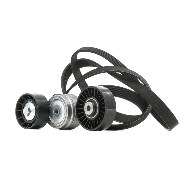 Achetez des Jeu de courroies trapézoïdales à nervures RIDEX 542R0028 à prix pour 59,36 €
