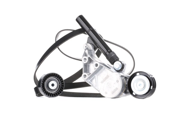 Compre Kit de correa de alternador de RIDEX online para Octavia I Furgón / Familiar (1U5) a precios moderados