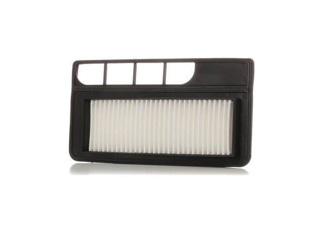 Luftfilter von RIDEX 8A0555