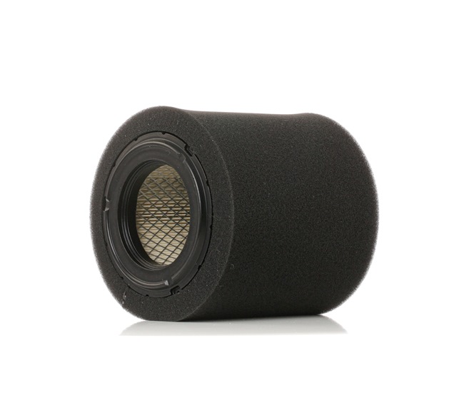 Luftfilter für DODGE von RIDEX