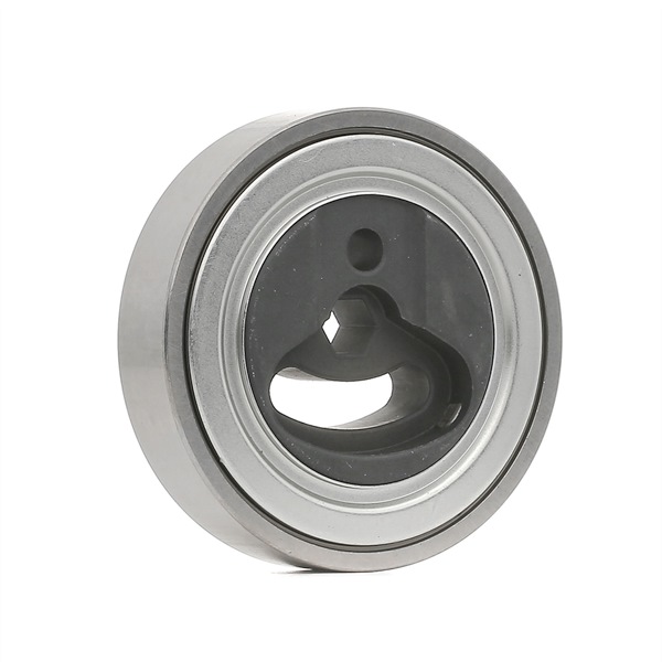 Comprar Polea tensora, correa poli V de RIDEX 310T0116 a bajo precio de 28,46 €