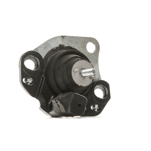 Online Shop für Motorlager von RIDEX EAN: 4059191680603