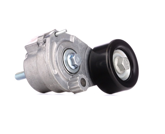 Achetez des Poulie, tendeur de courroie d'accessoire RIDEX 310T0140 à prix pour 49,29 €