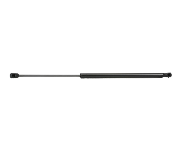 Osta Kaasujousi, tavaratila RIDEX:llä 219G0496 edullisesti hintaan 13,84 €