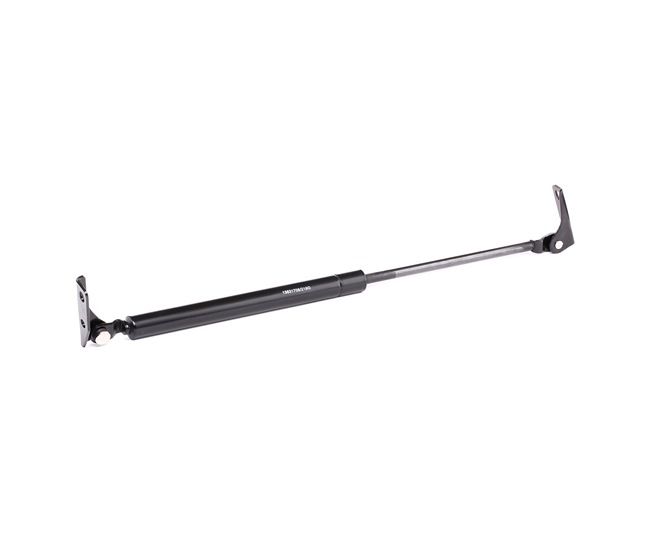 Heckklappendämpfer von RIDEX 219G0573