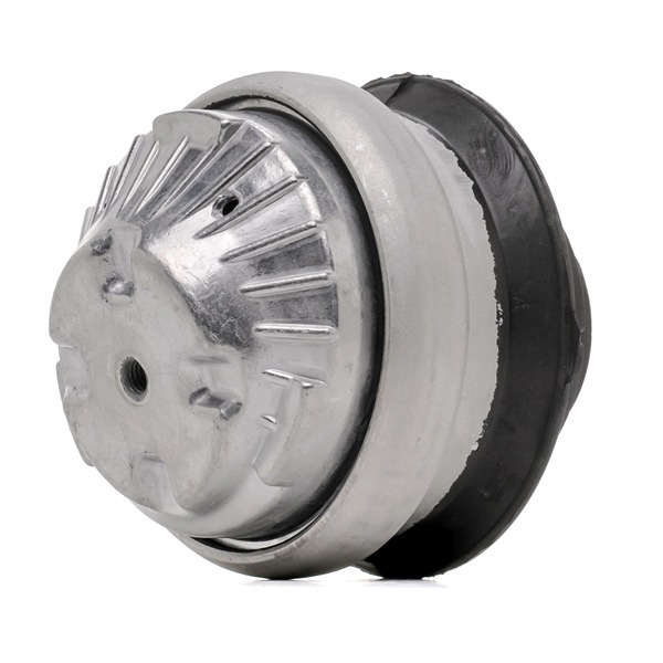 Online Shop für Motorlager von RIDEX EAN: 4059191690978