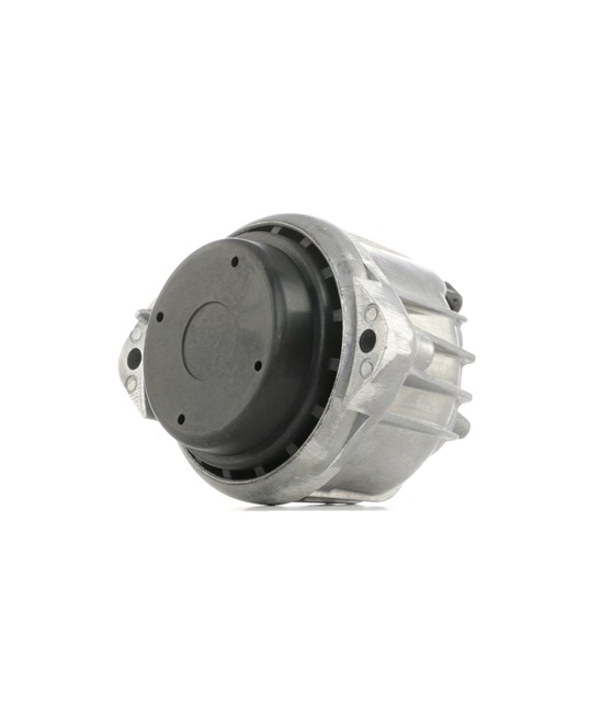 Online Shop für Motorlager von RIDEX EAN: 4059191691234