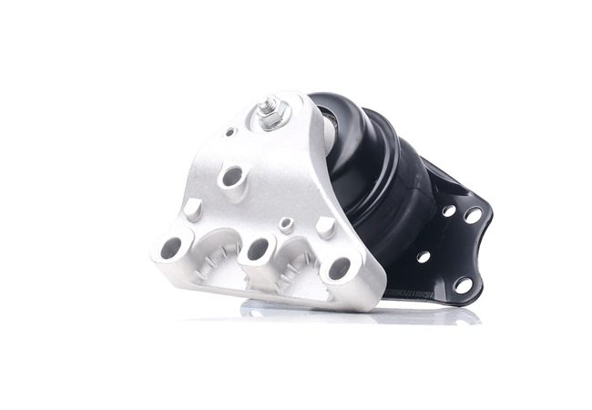 Online Shop für Motorlager von RIDEX EAN: 4059191691432