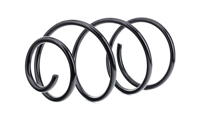 Fahrwerksfeder 188C0302