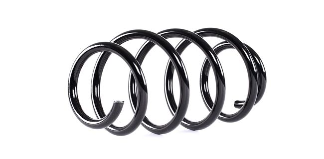 Osta Jousi (auton jousitus) RIDEX:llä 188C0373 edullisesti hintaan 34,84 €
