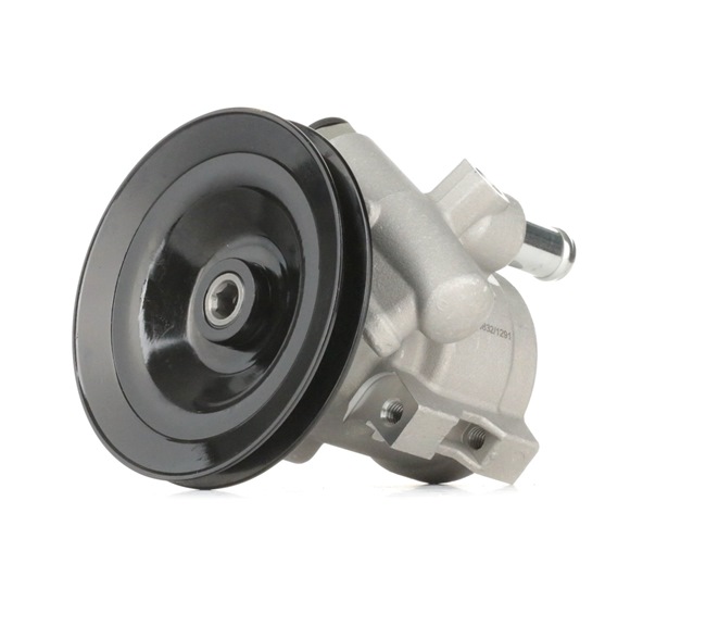 Compre Bomba de direção da RIDEX 12H0073 a um preço baixo por 96,61 €